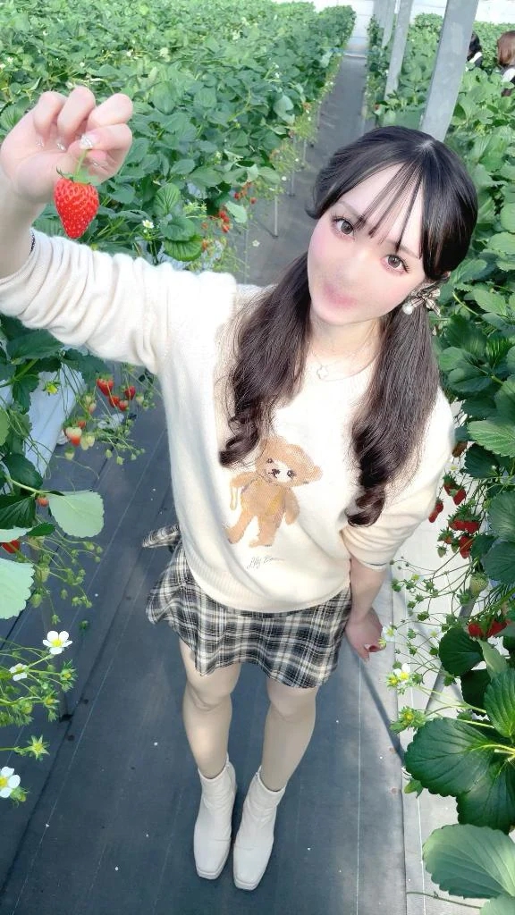 星空（せいら）