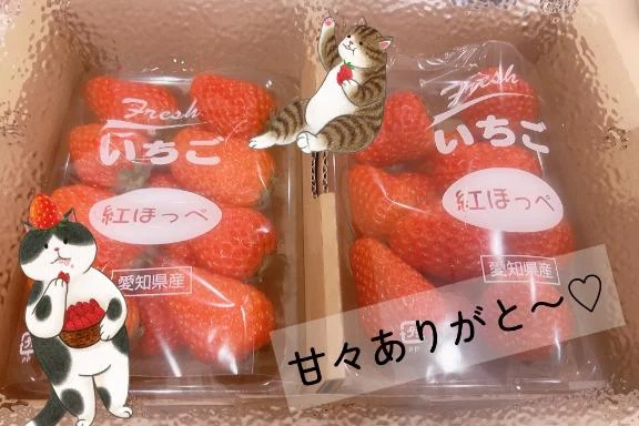 千明（ちあき）