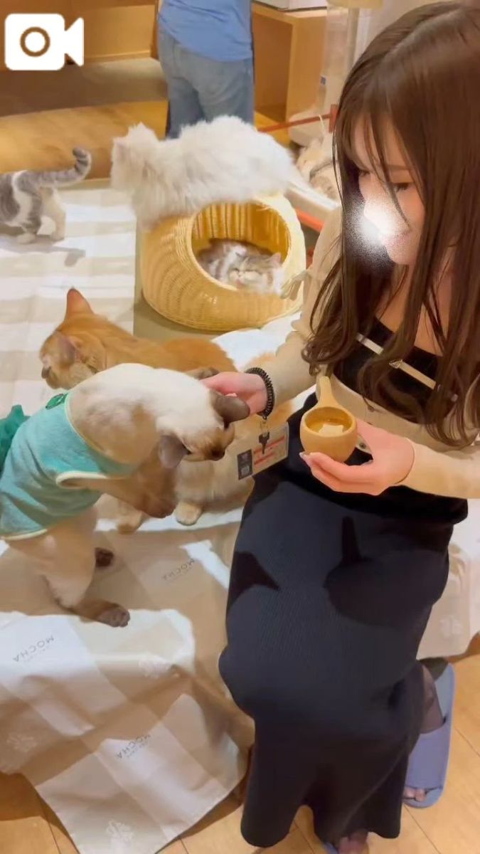 愛乃（あいの）