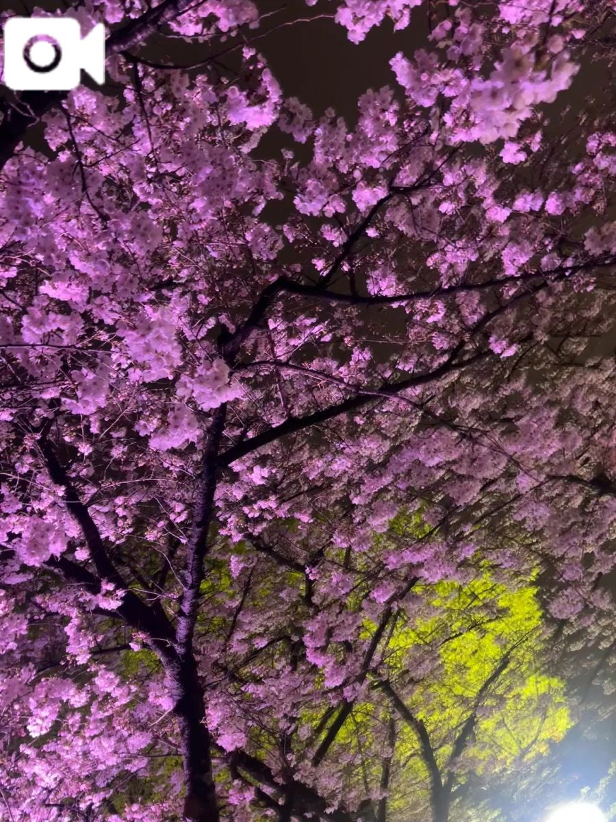 ゆな