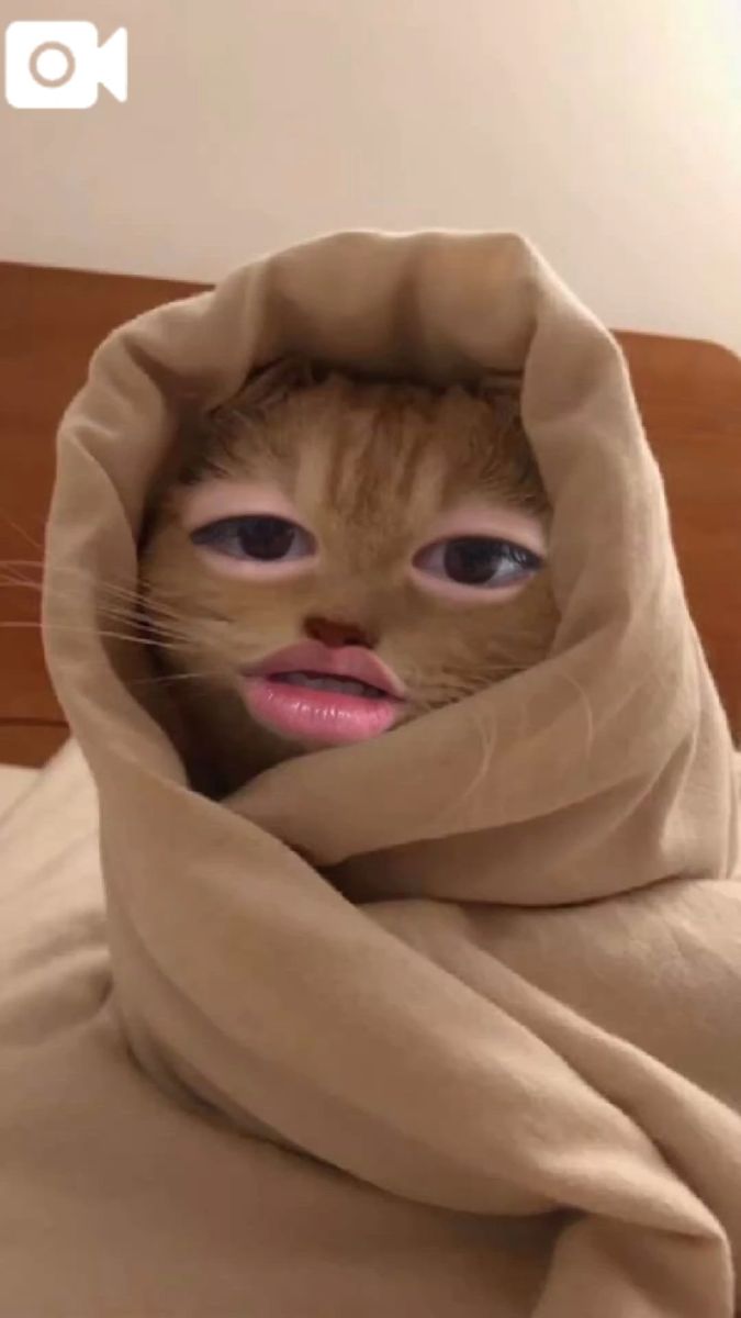 ミナ
