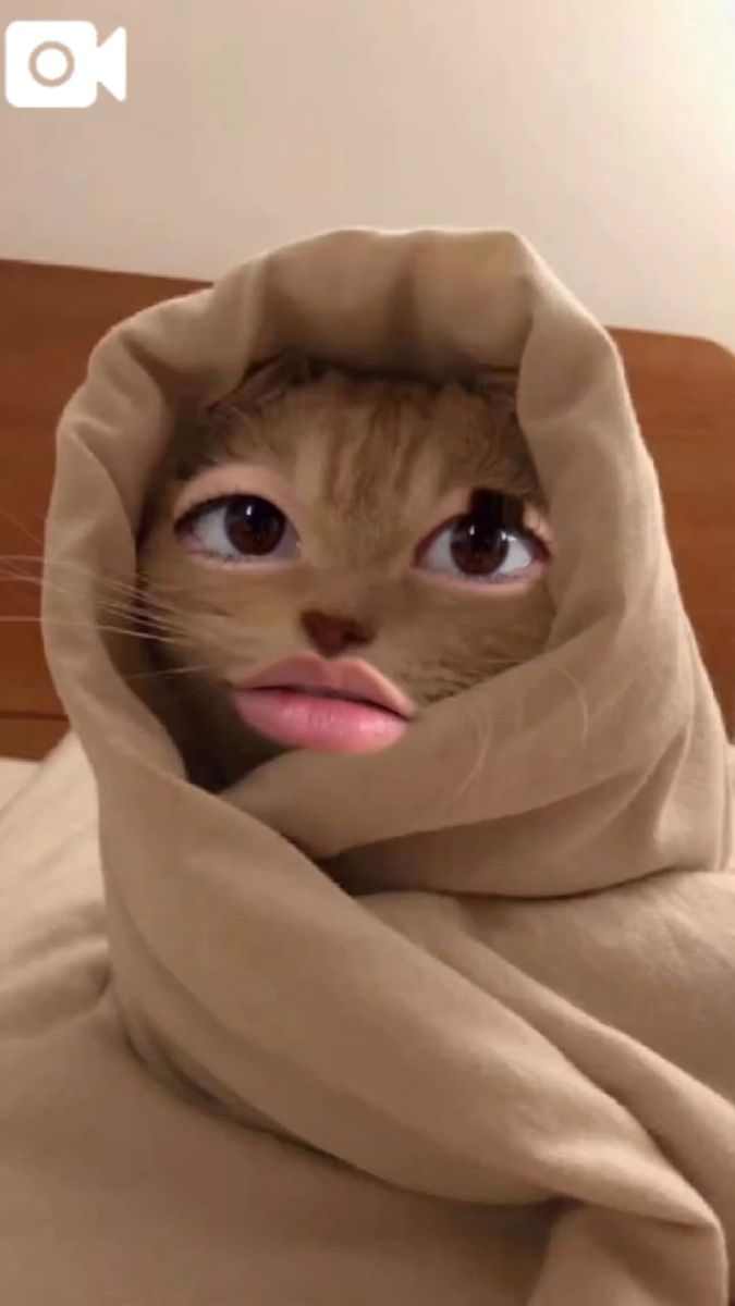 ミナ