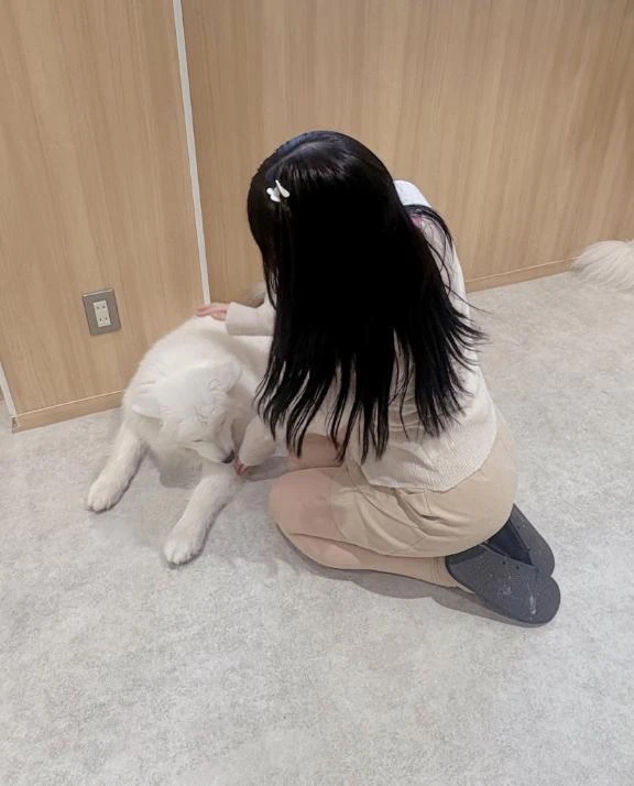 あい
