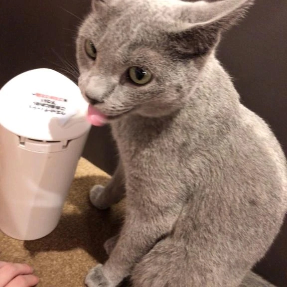 のあ