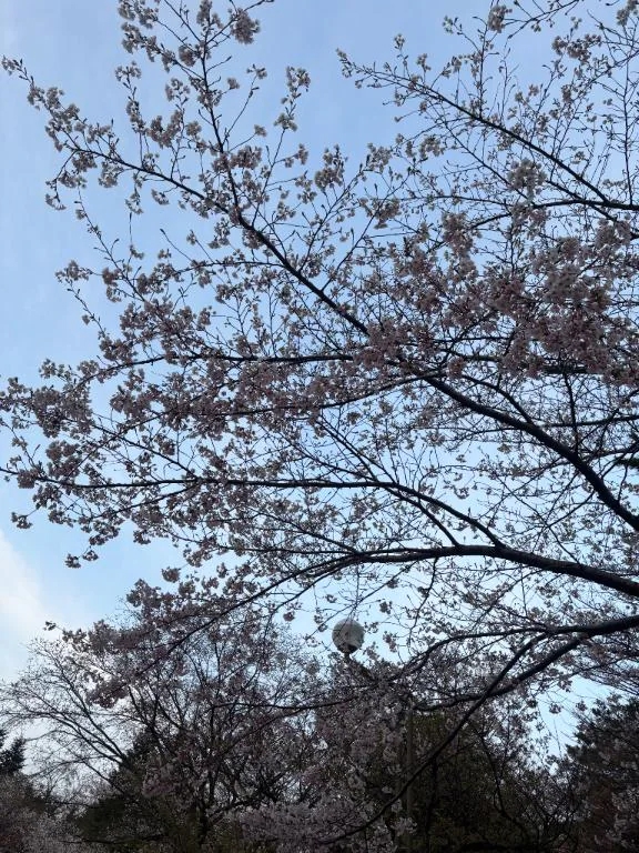 りか