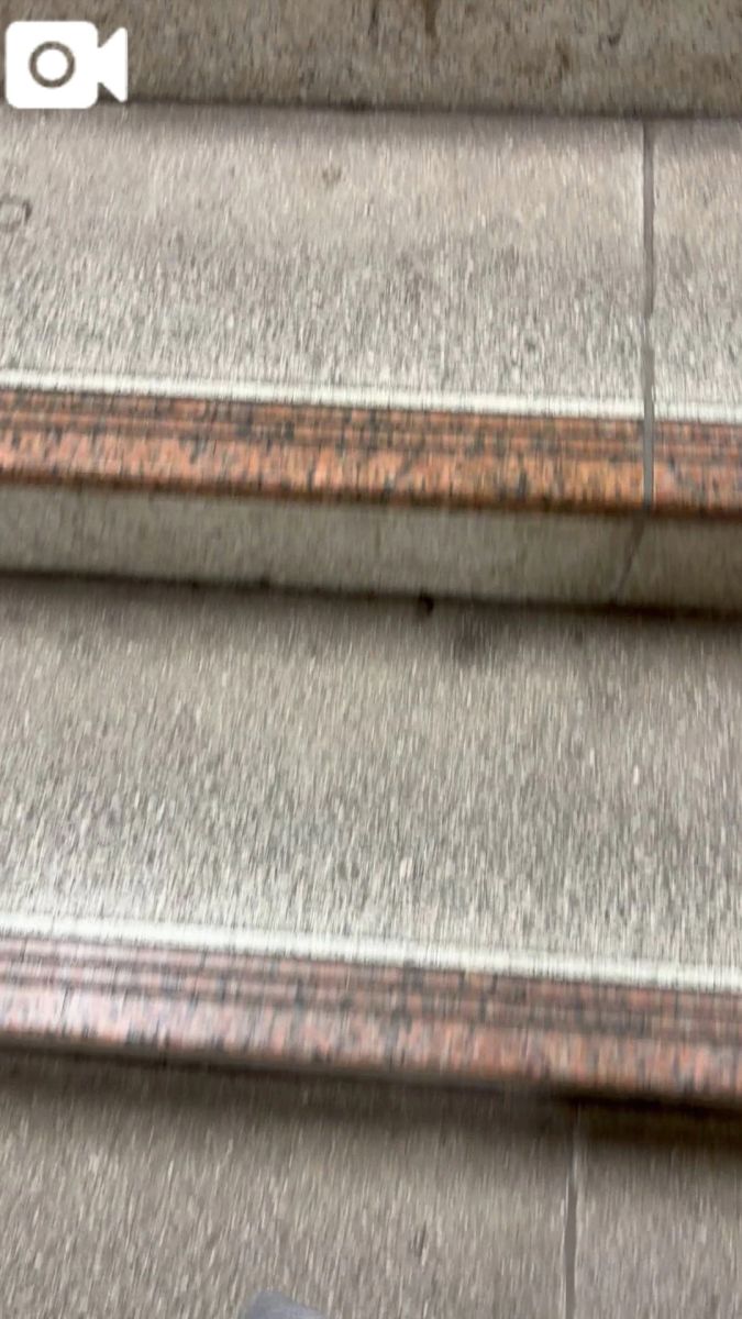 せな