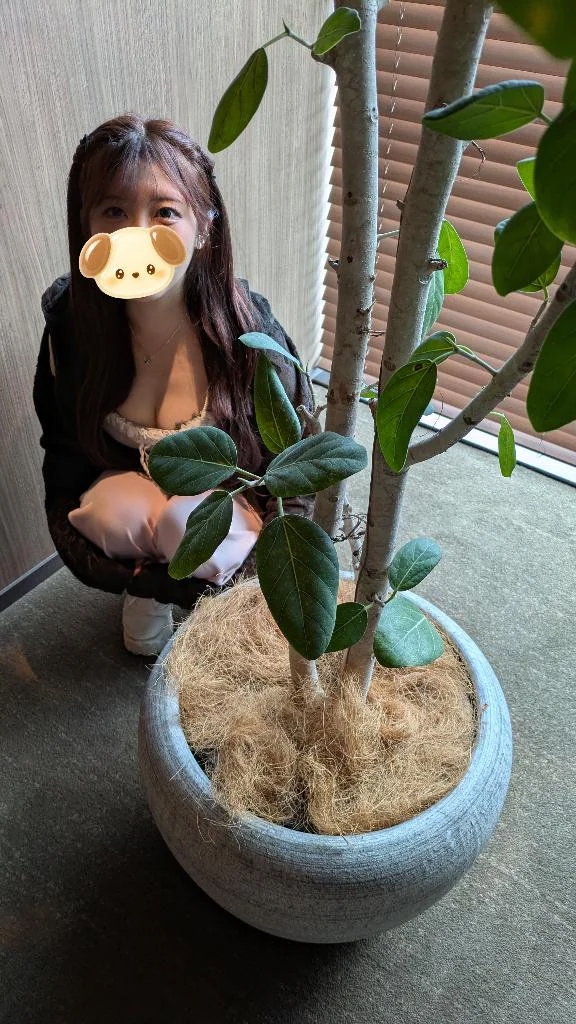 あいす