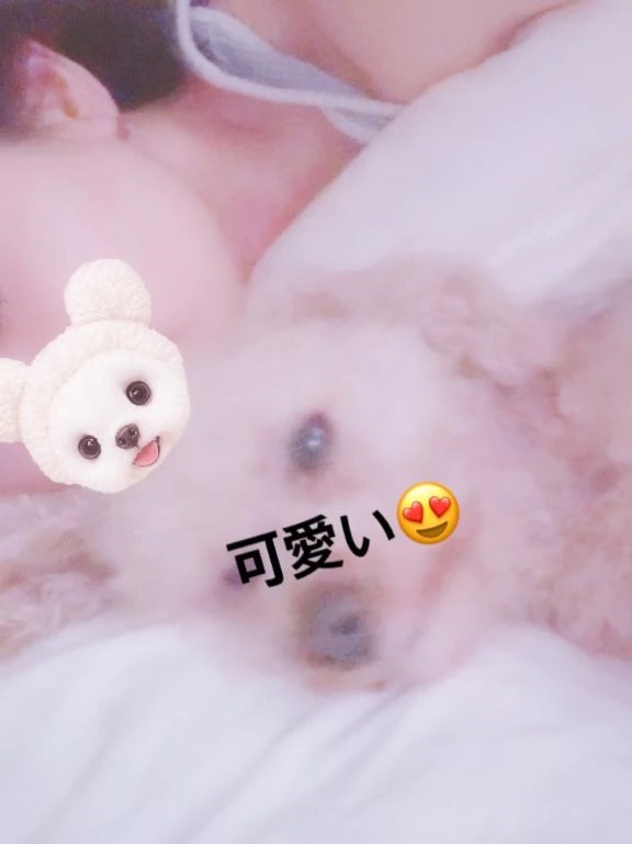 あやの