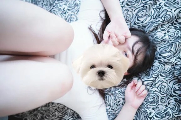 ひい
