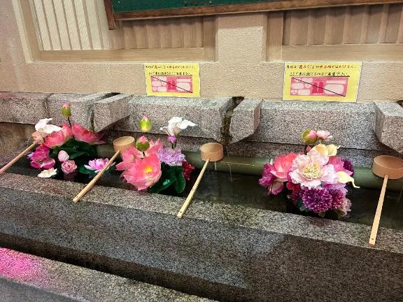 ゆま