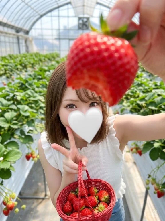 ここみ