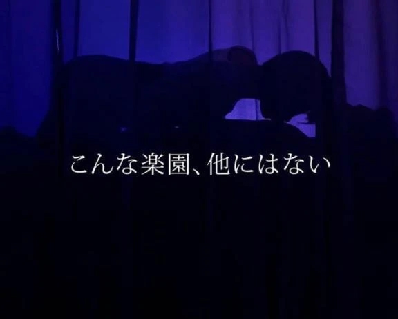 ひまわり
