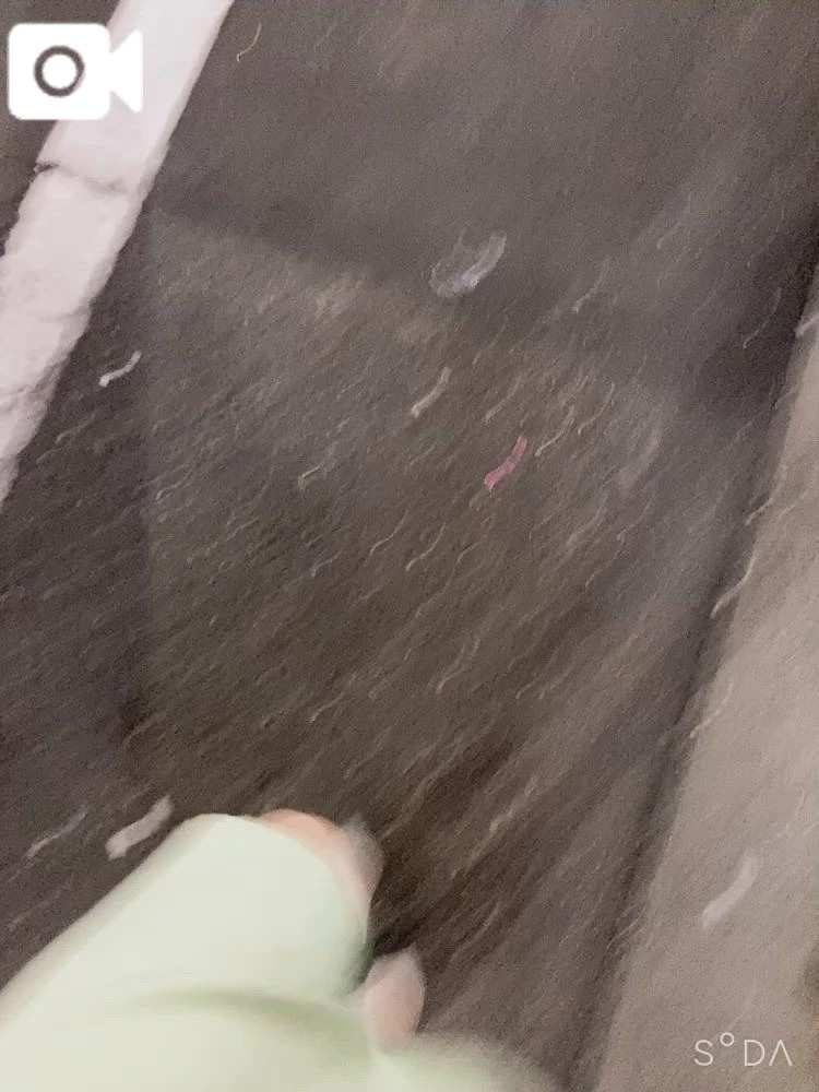 しおり