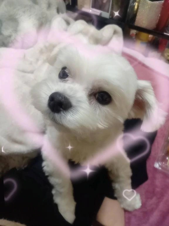 ゆうな