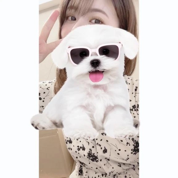 ひい