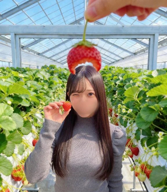 ねね