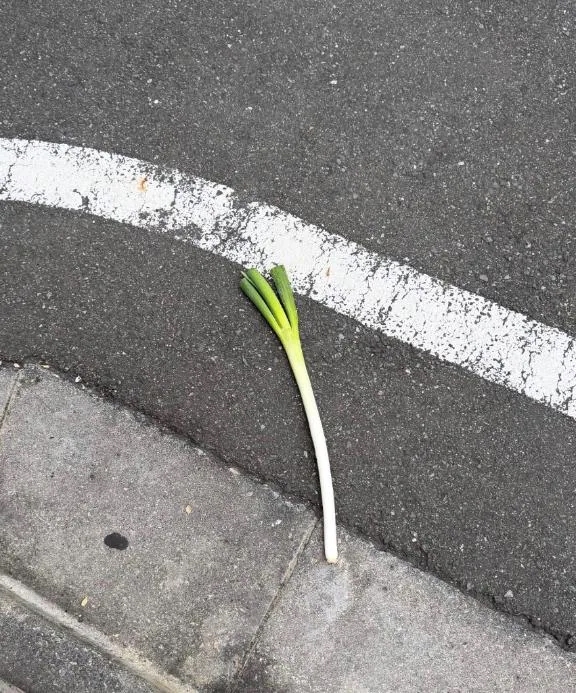 みい