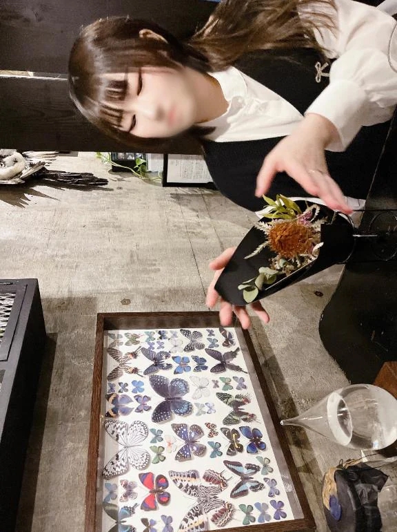 みずき