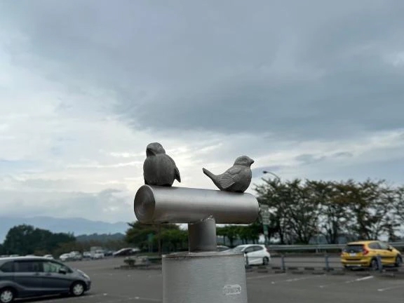 まゆ