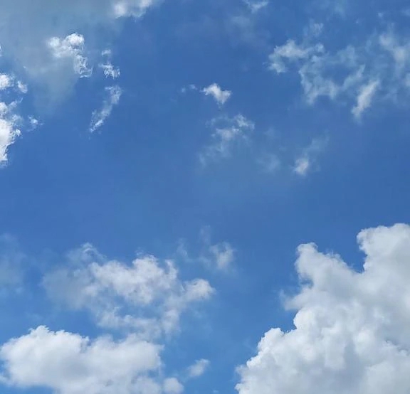 まい