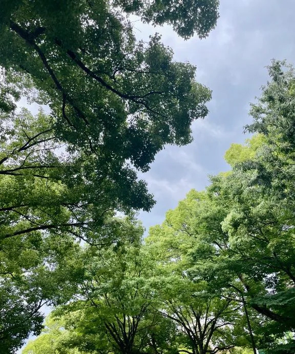 はな