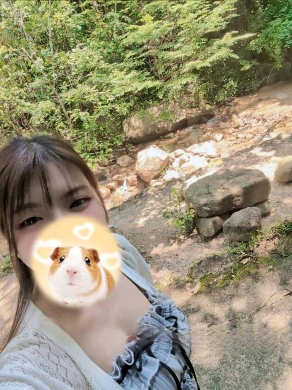 はるひ