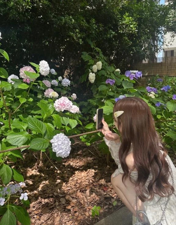 まい