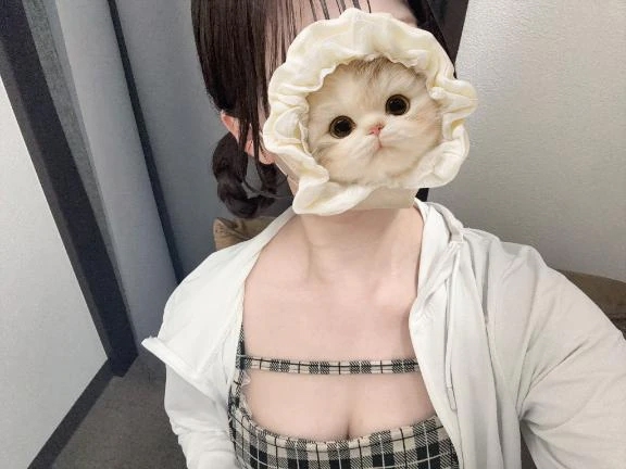 ぽっぷ