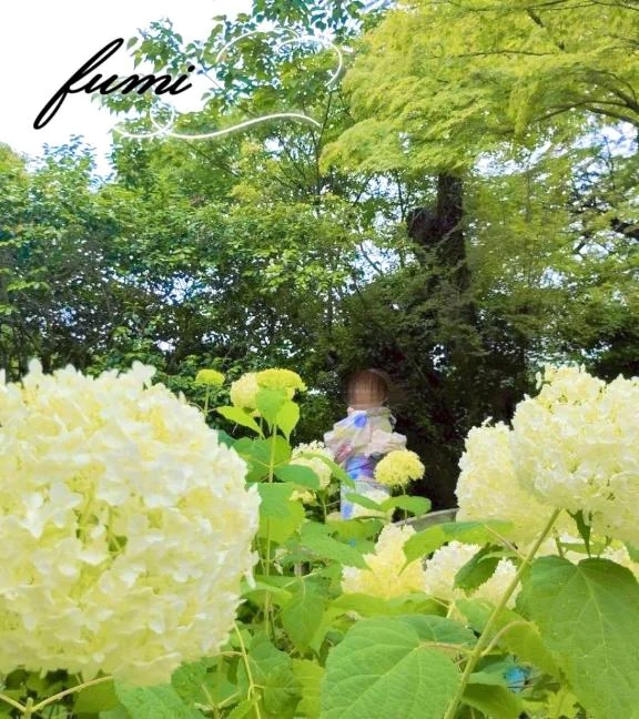 ふみ