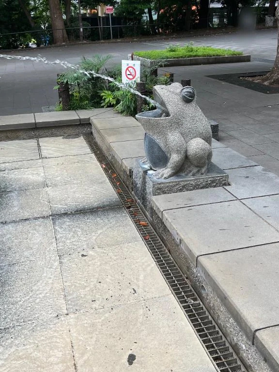 ゆきの